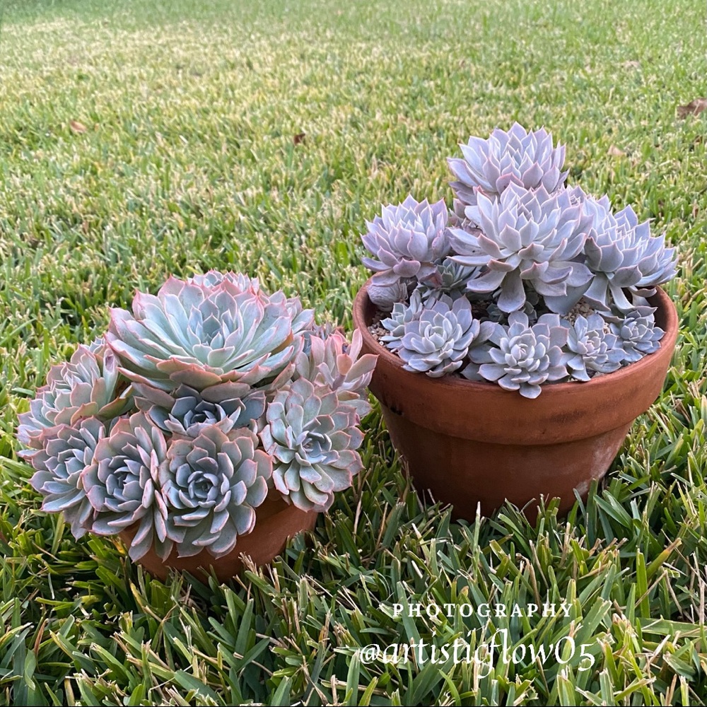 Always Surround Yourself With Pops Of Color!